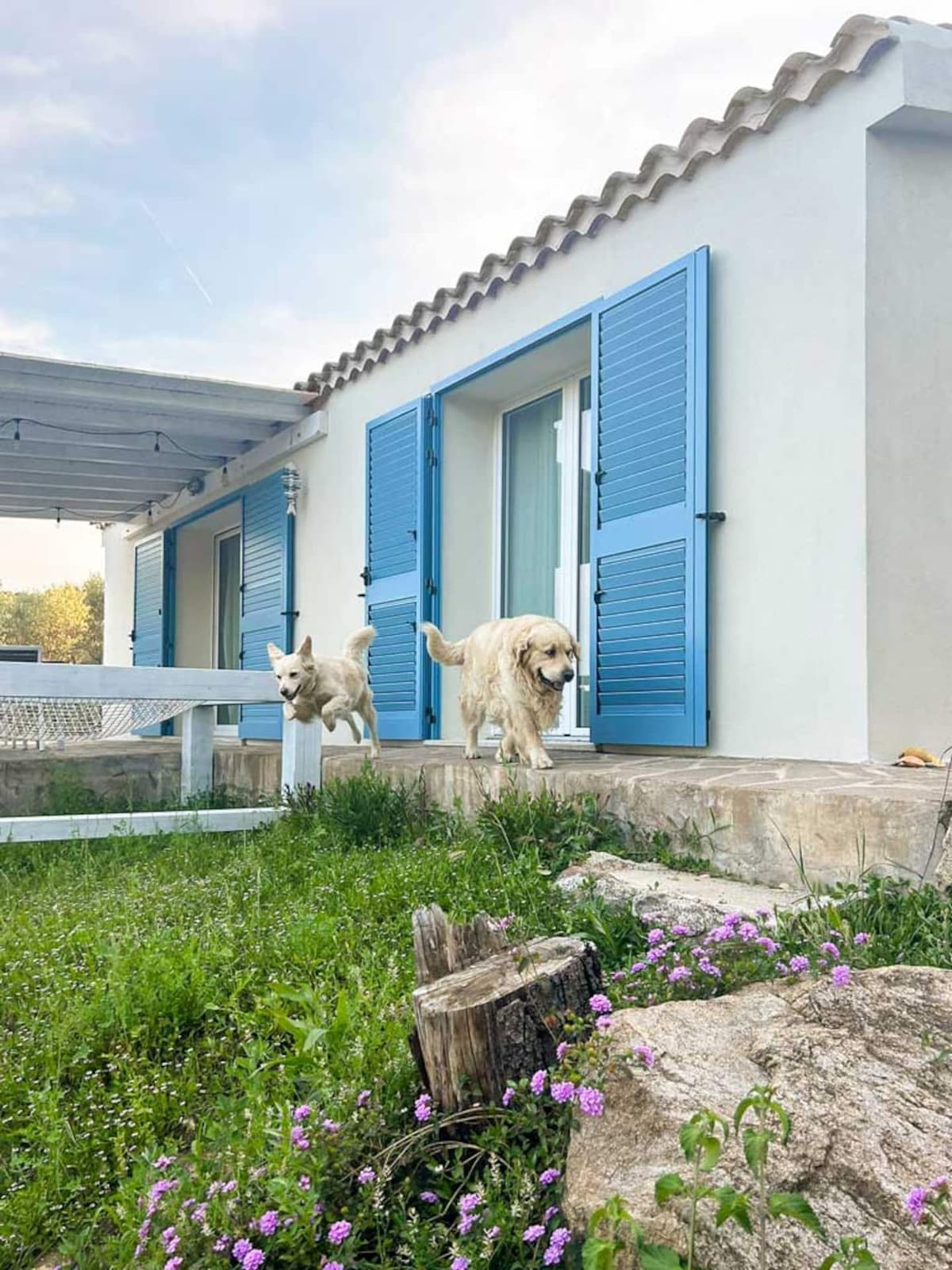 Villa Turchese, esterni