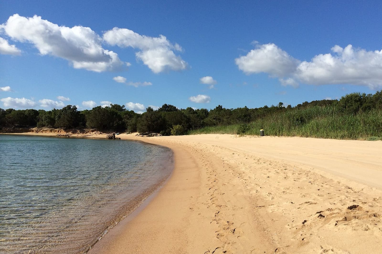 Spiaggia di sabbia dorata e acqua trasparente in fondo alla baia di Cala di Volpe, con canneto e macchia alle spalle