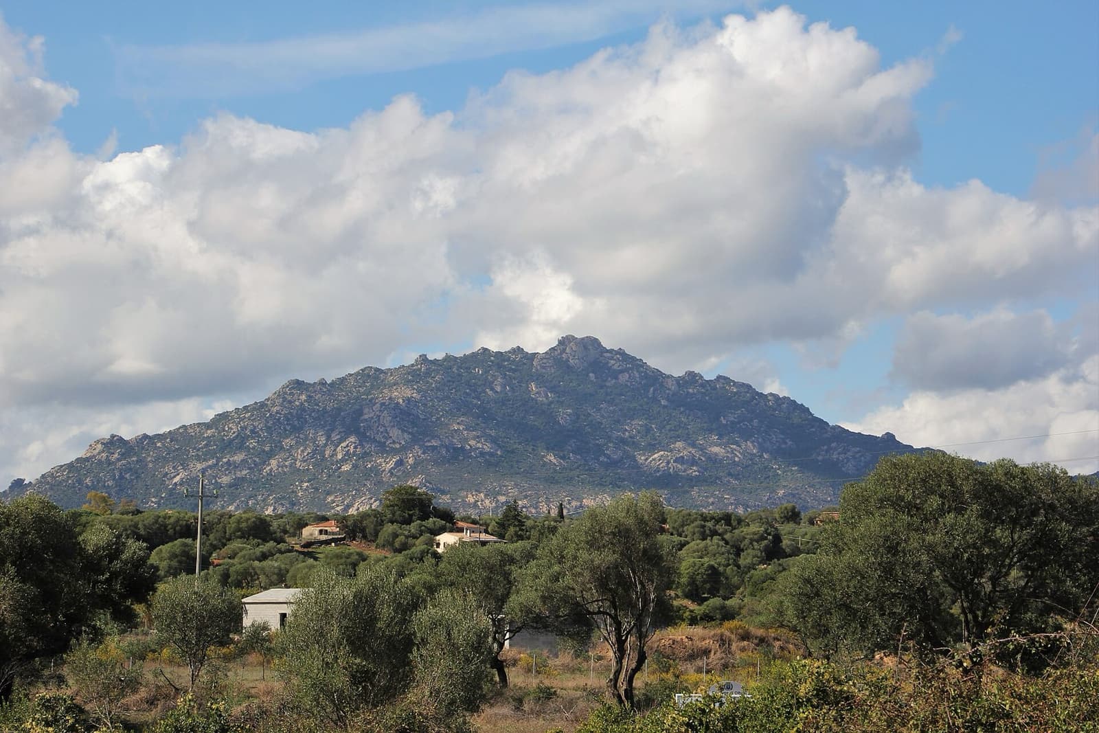 Il monte Cugnana sopra la campagna con ulivi e case sparse